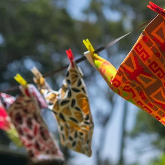 Dragonfly Designs Kenya Hanging line 2